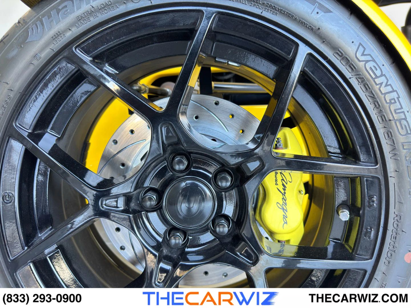 2025 Campagna T-Rex T-Rex RR