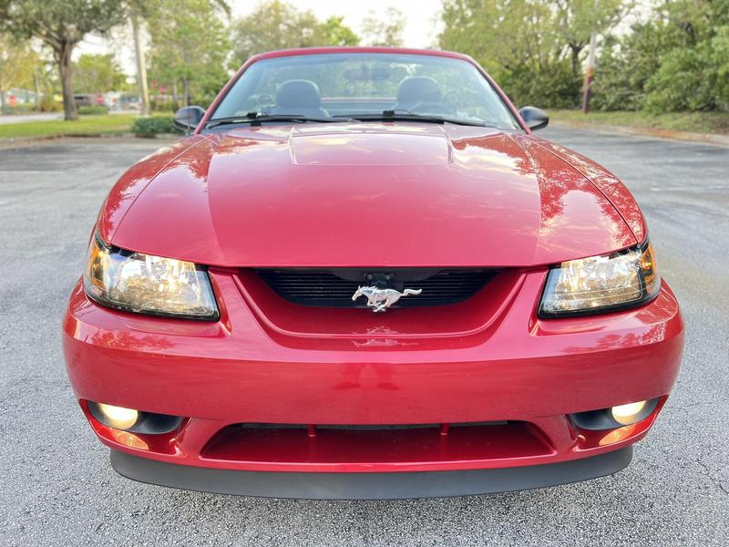 2001 Ford Mustang Cobra Convertible  - $16,999