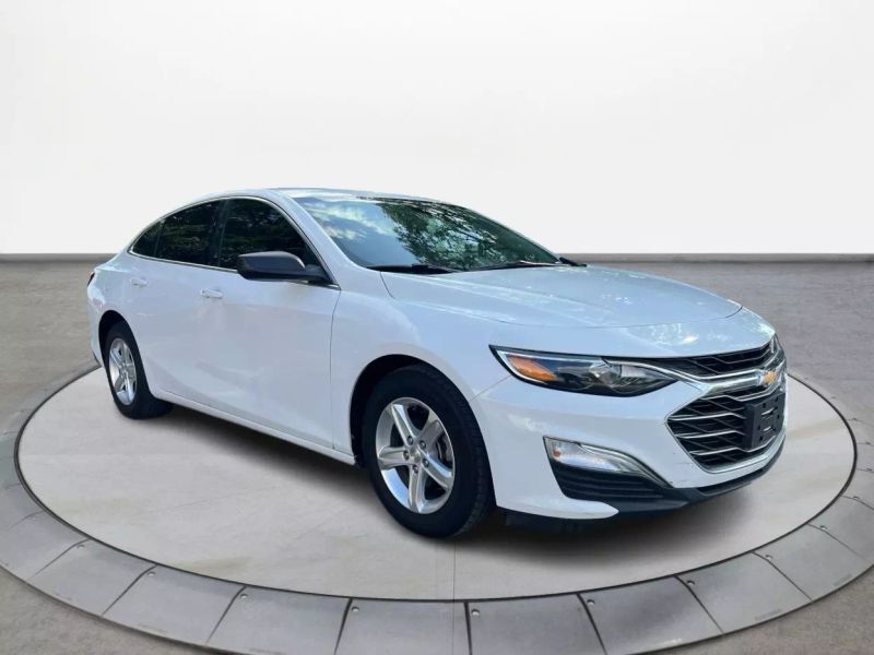 2019 Chevrolet Malibu LS Fleet